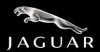 Jaguar Car Battery